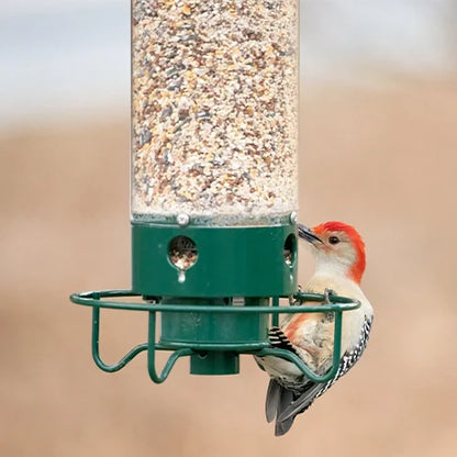 SquirrelGuard™ Multi-Hole Bird Feeder