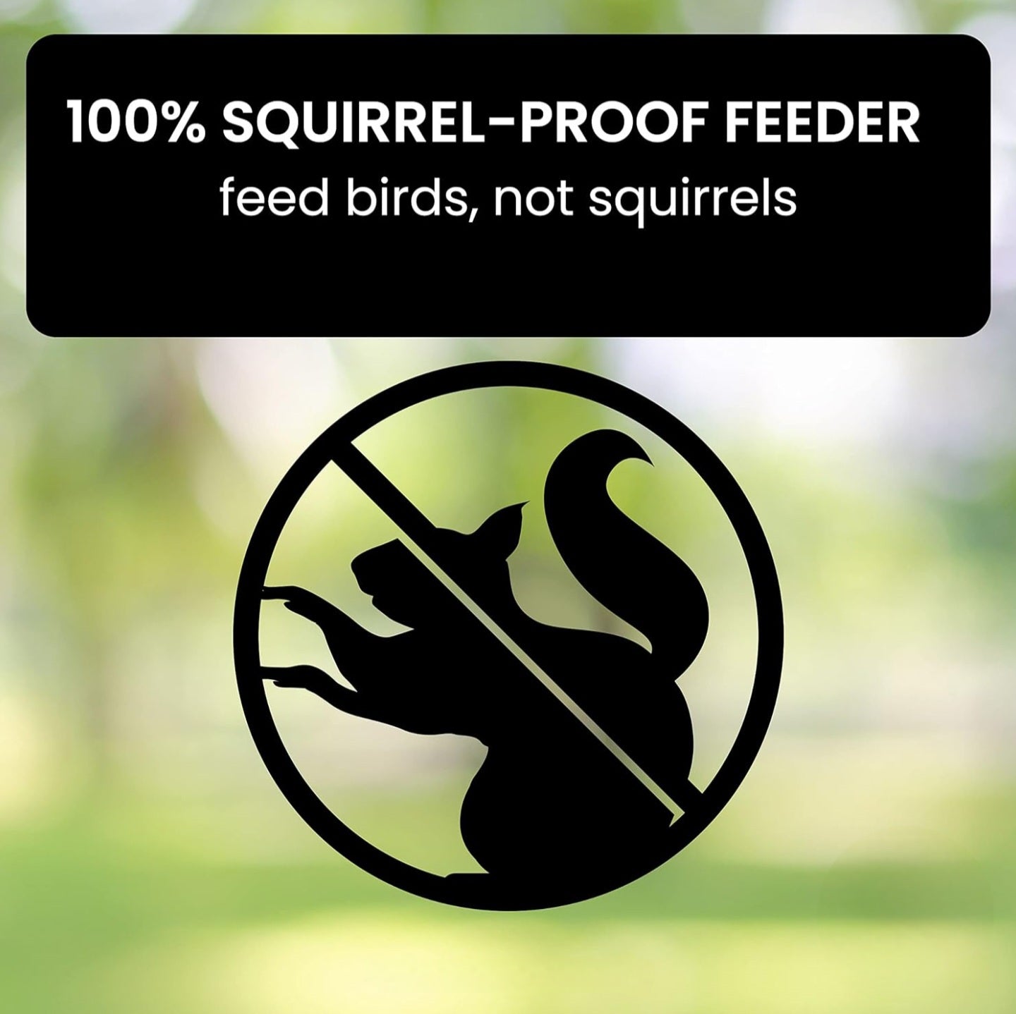 SquirrelGuard™ Multi-Hole Bird Feeder