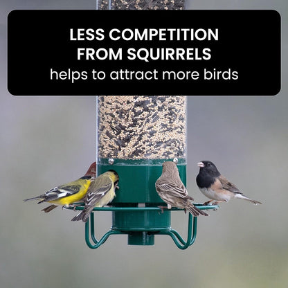 SquirrelGuard™ Multi-Hole Bird Feeder