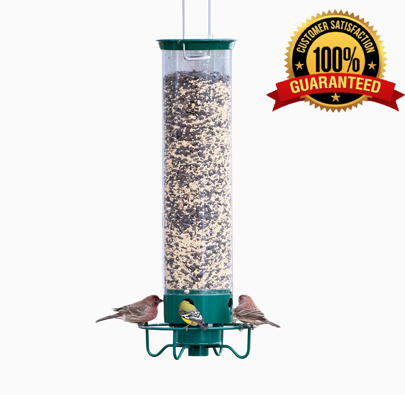 SquirrelGuard™ Multi-Hole Bird Feeder